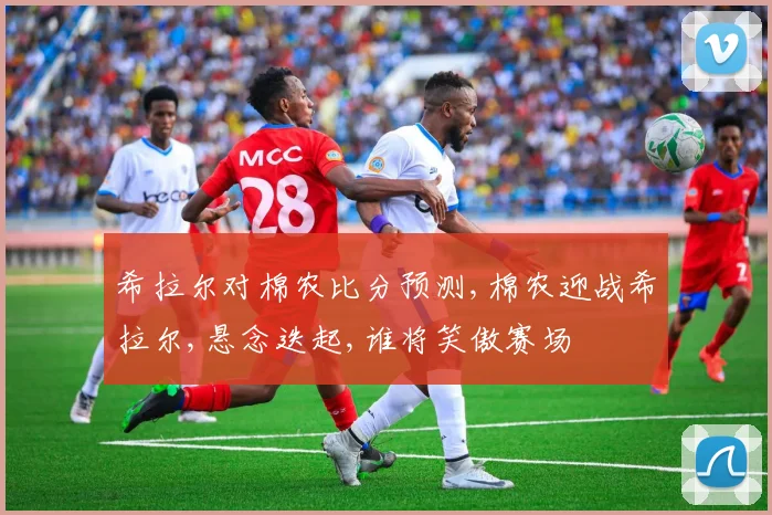 希拉尔对棉农比分预测,棉农迎战希拉尔,悬念迭起,谁将笑傲赛场
