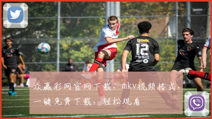 众赢彩网官网下载，mkv视频格式，一键免费下载，轻松观看