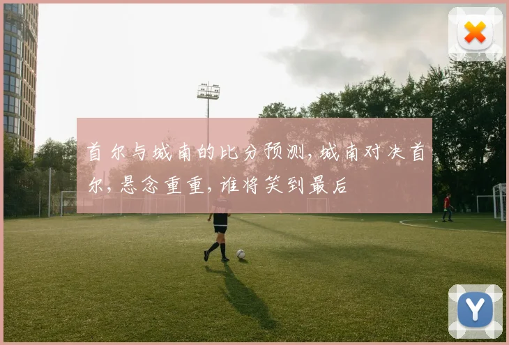 首尔与城南的比分预测,城南对决首尔,悬念重重,谁将笑到最后